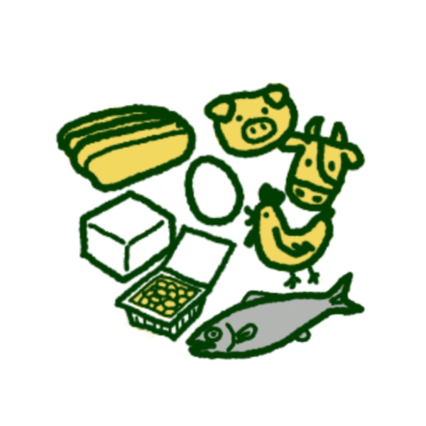 ⑥たんぱく質は1食に1品