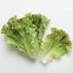 サニーレタス
